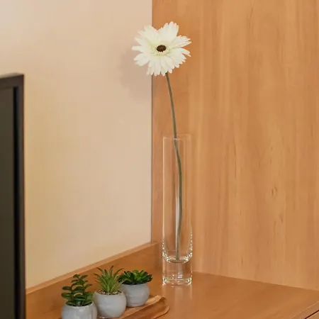 Appartement Charming Located Near The Promenade In By Renters *